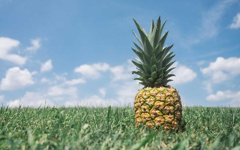 St. Pete Market Update: Q1 2026 in Review